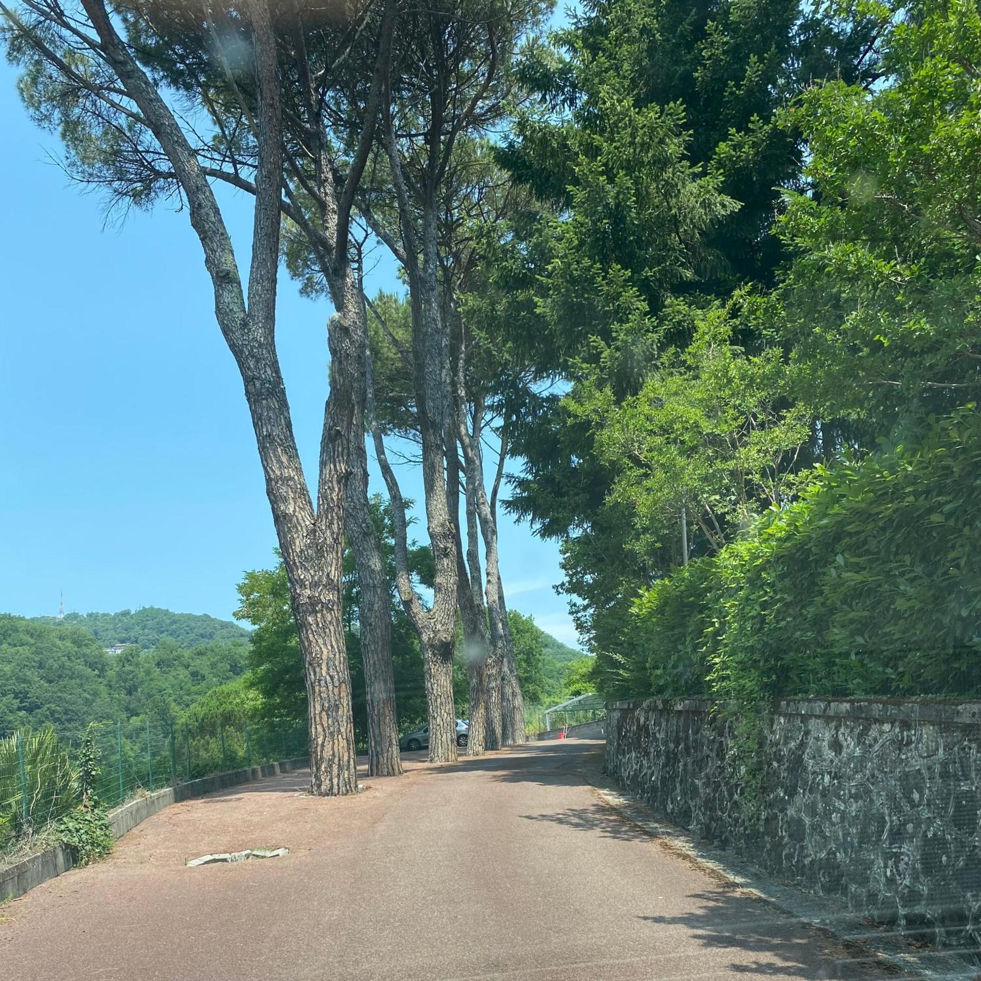 Apartamento Le Foglie Di Lubo Aulla Exterior foto